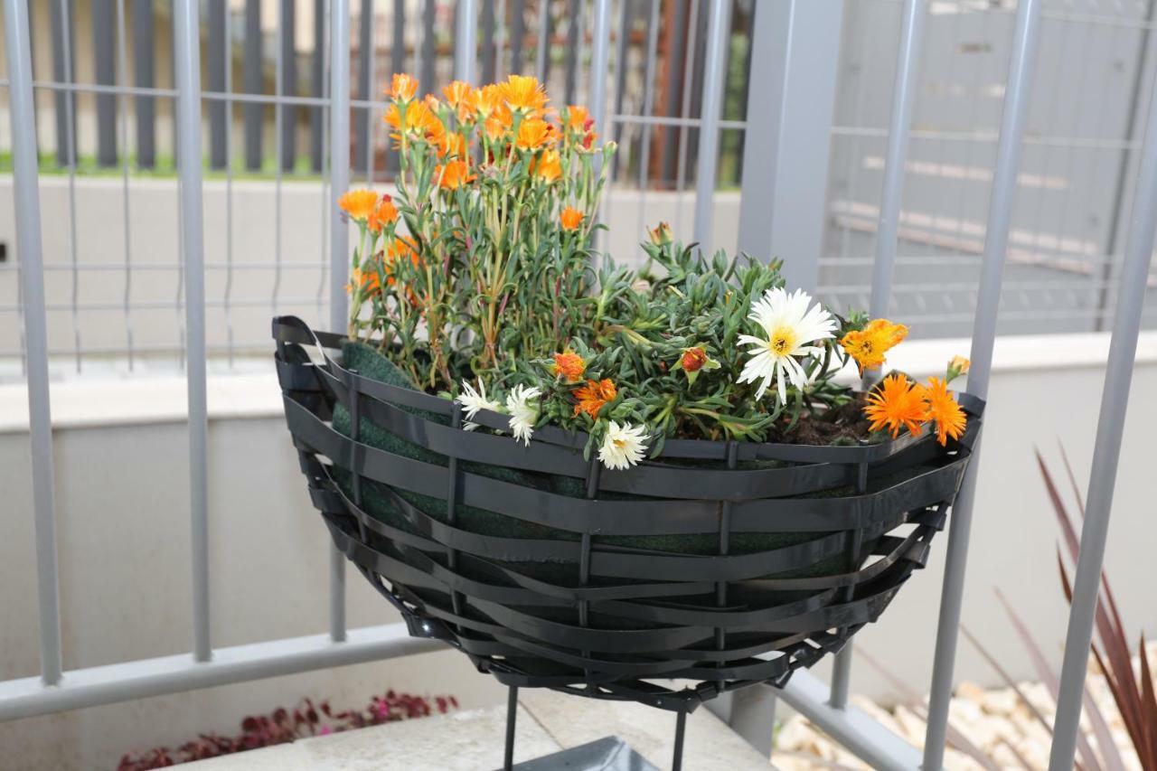 Db Apartments - Dabasso Mestre Dış mekan fotoğraf